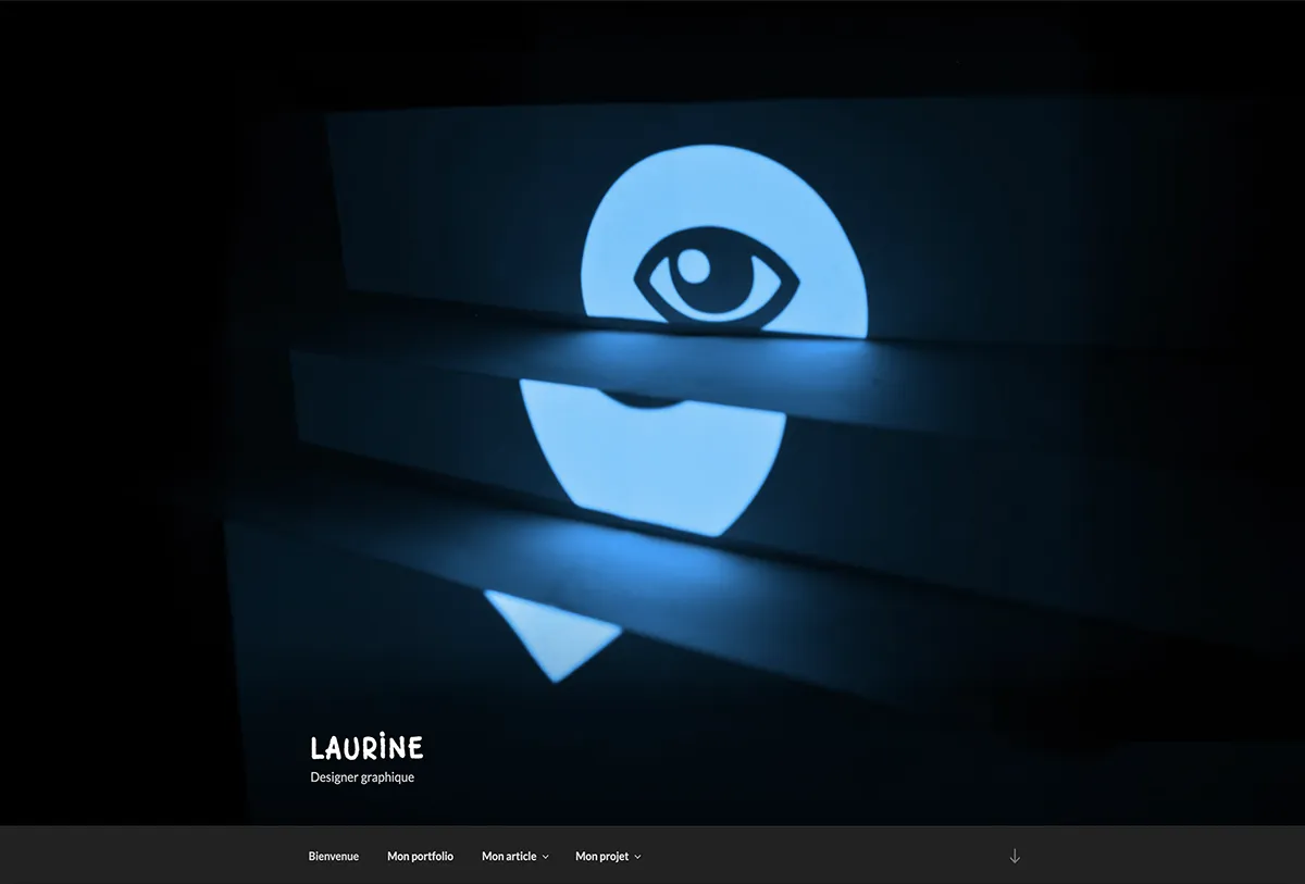 le projet et l'article en ligne de laurine gressier