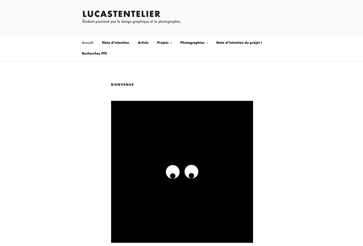 le projet et l'article en ligne de lucas tentelier