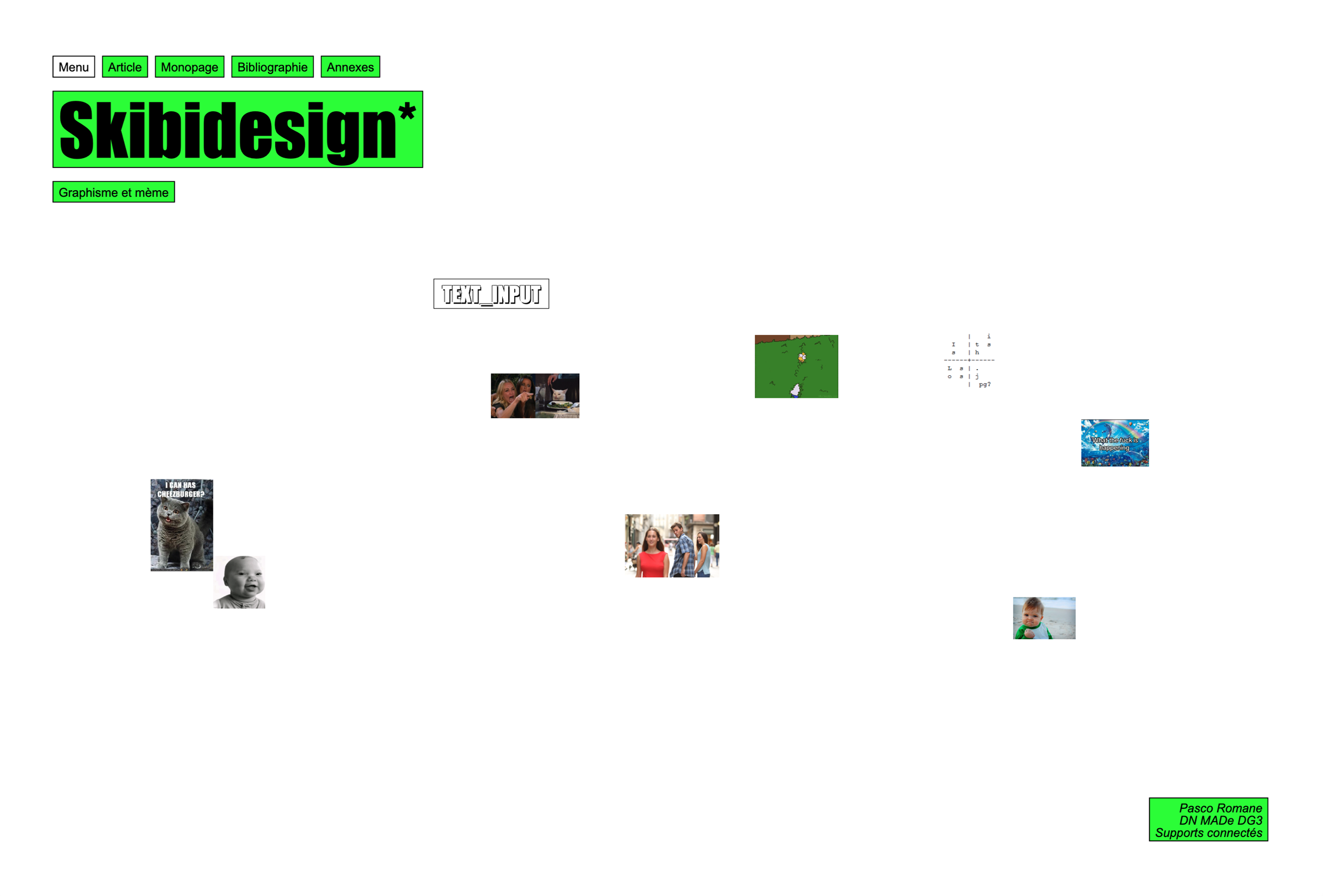 le mémoire et le projet en ligne de romane pasco