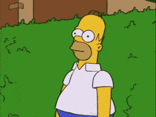 Homer Gif